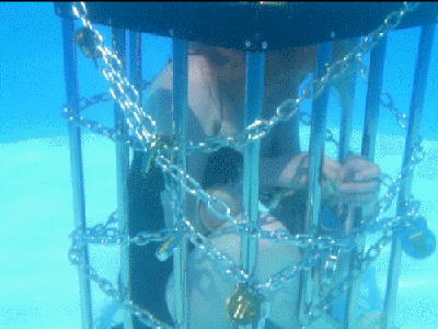 Dayle Krall performs The Underwater Cage escape!